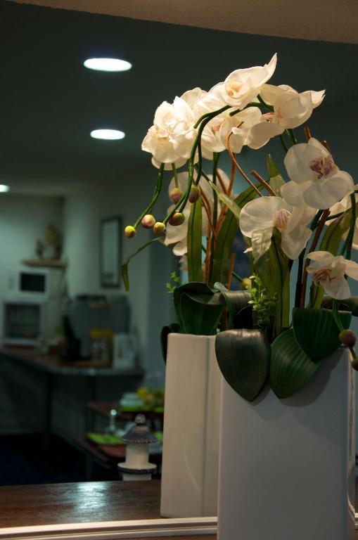Hotel Aer Vieille-Toulouse エクステリア 写真